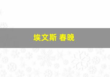 埃文斯 春晚